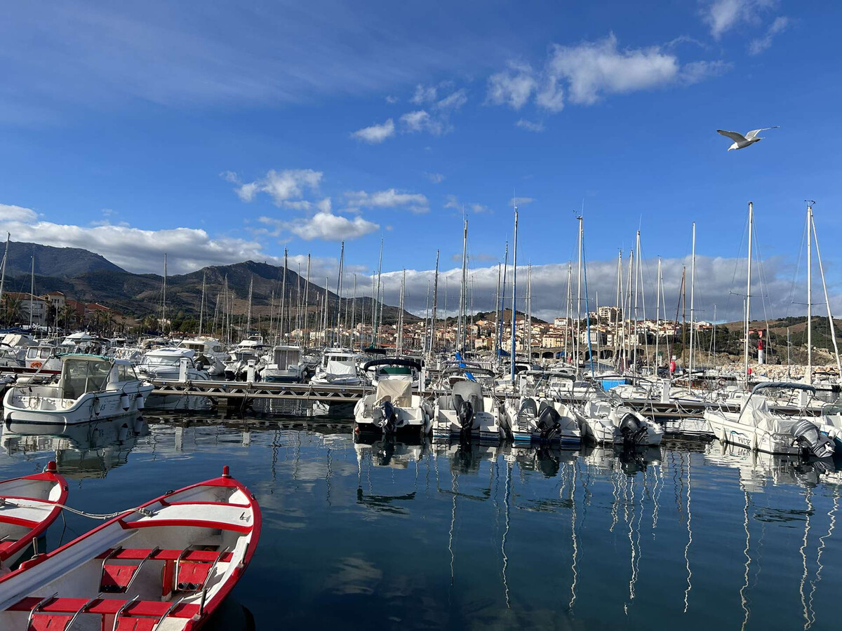 Appartement 3 pièces Banyuls-sur-Mer, terrasse vue mer - Photo 18