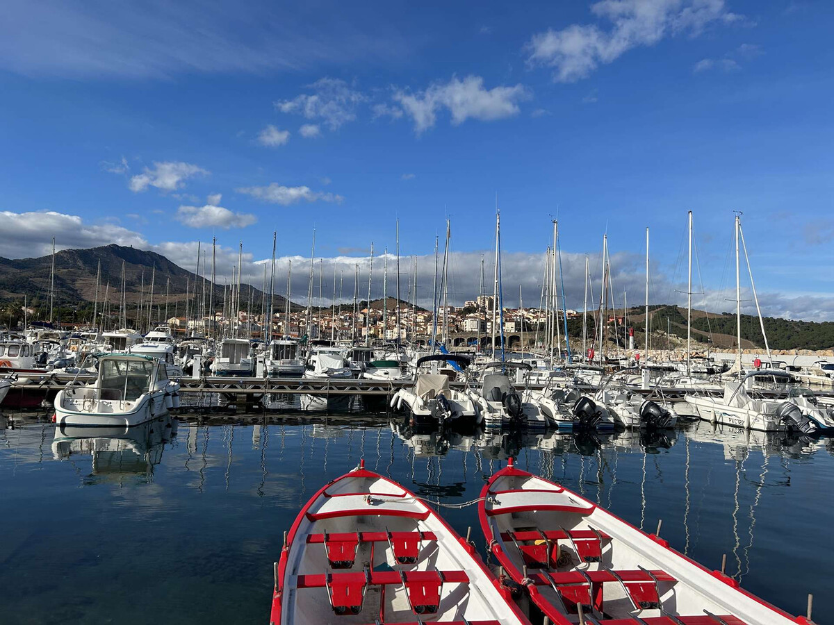 Appartement 3 pièces Banyuls-sur-Mer, terrasse vue mer - Photo 19