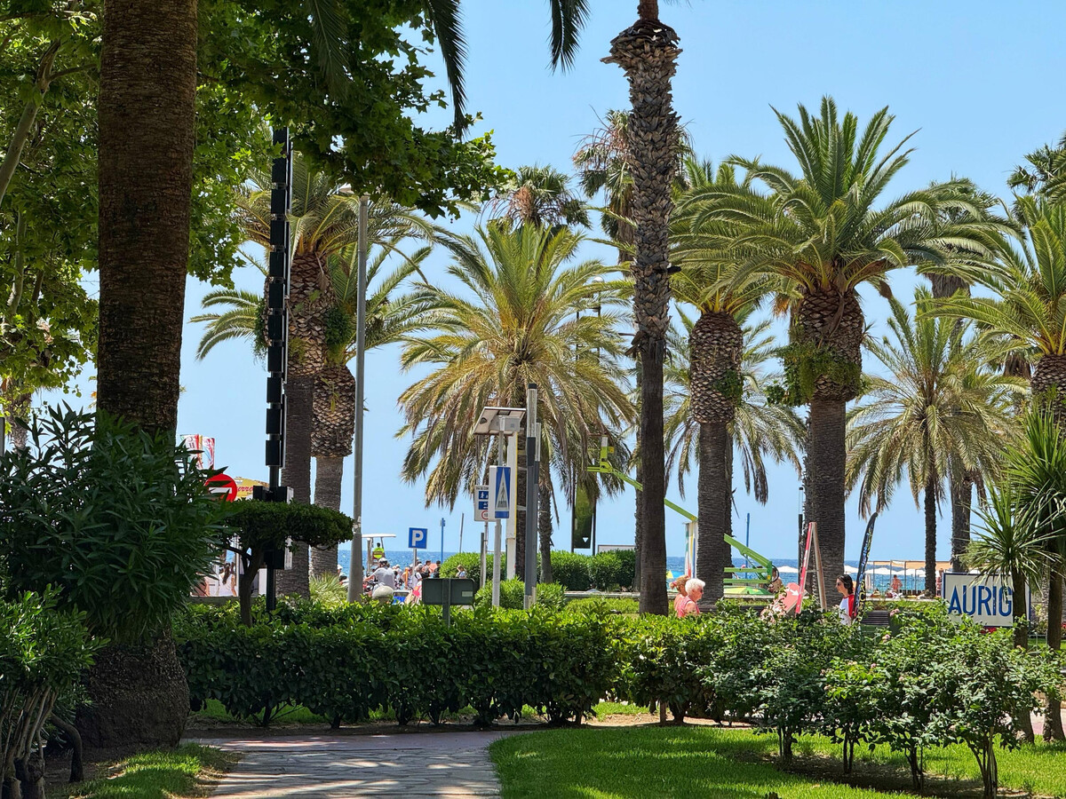 Appartement Delfos à 100m de la plage de Levante - Photo 3