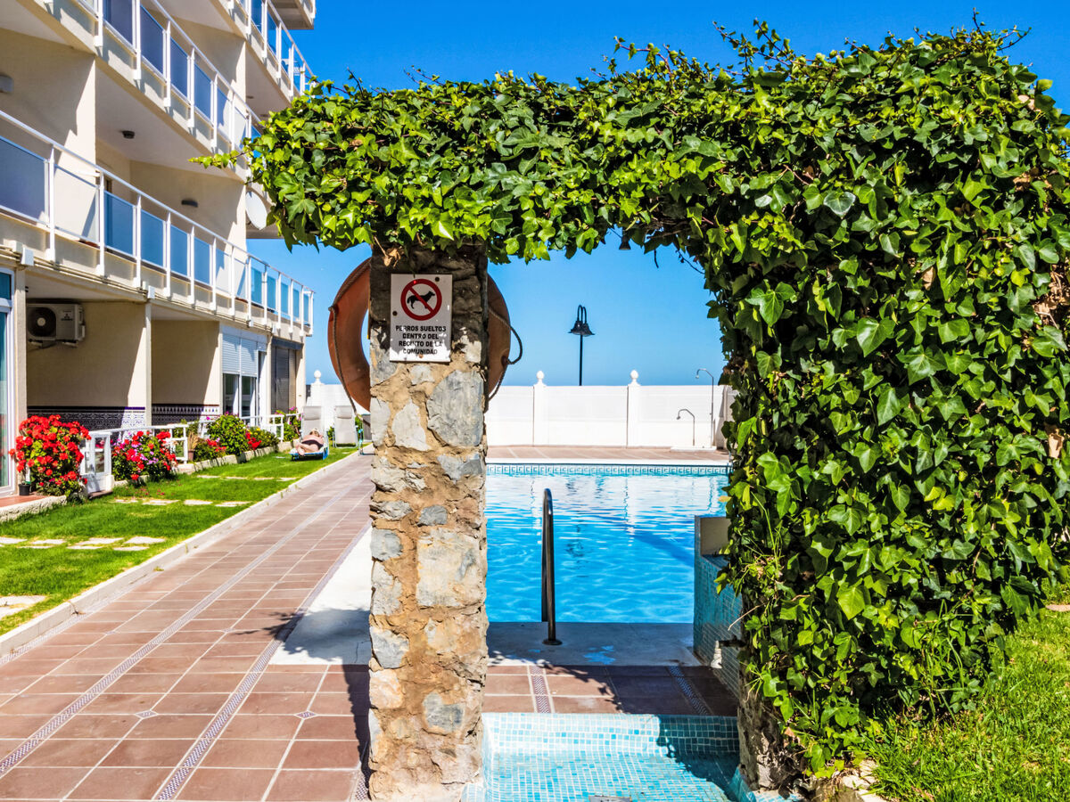 Studio Neptune 40 m² vue mer à Torremolinos - Photo 16