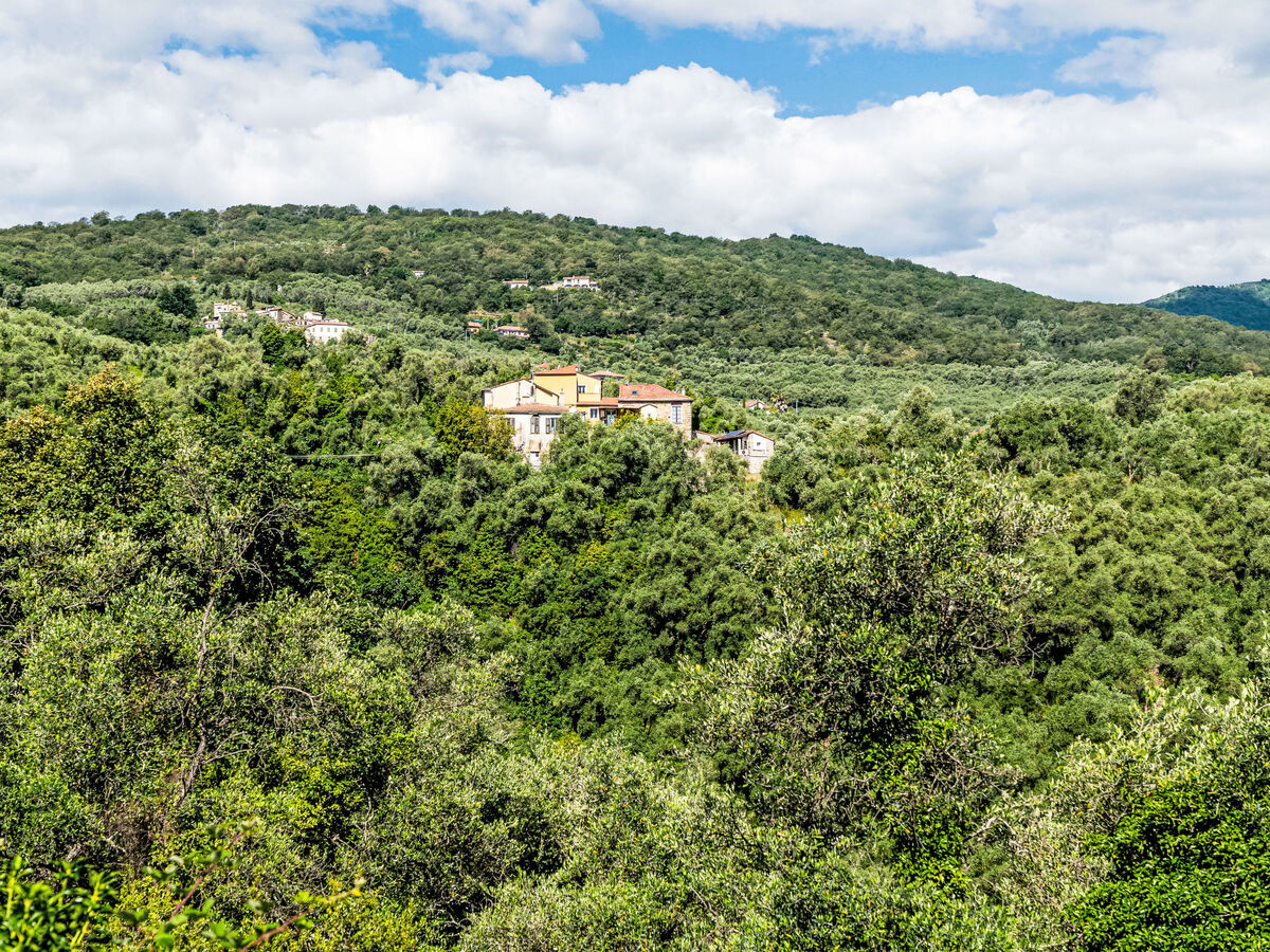 Sul Cammino, gîte 7 pers. vue panoramique à Dolcedo - Photo 51
