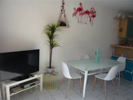 Appartement avec terrasse vue port et piscine, Port Camargue : photo 7