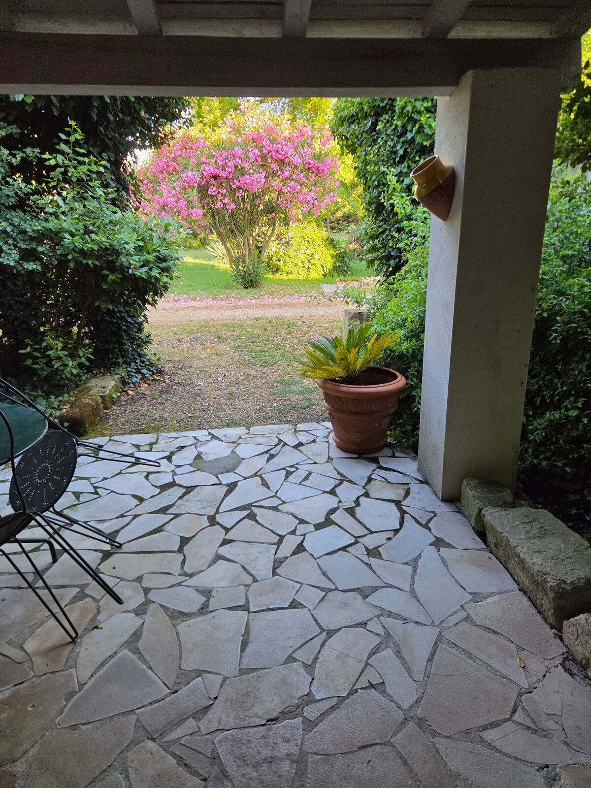 Appartement 2 ch à Arles, piscine chauffée et terrasse - Photo 4