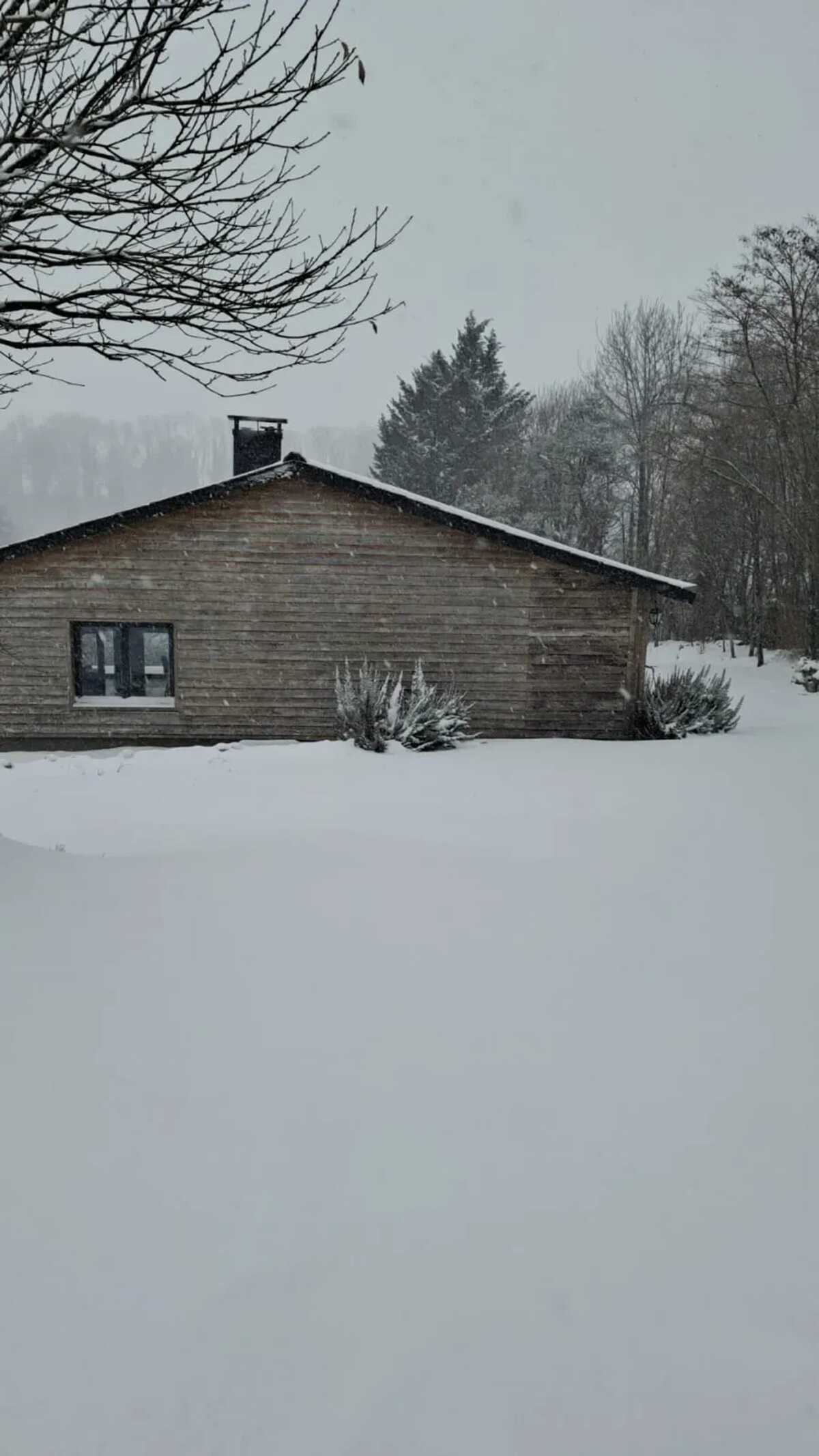 Chalet 116 m² avec bain balnéo et sauna à Saint-Loup-Terrier - Photo 20