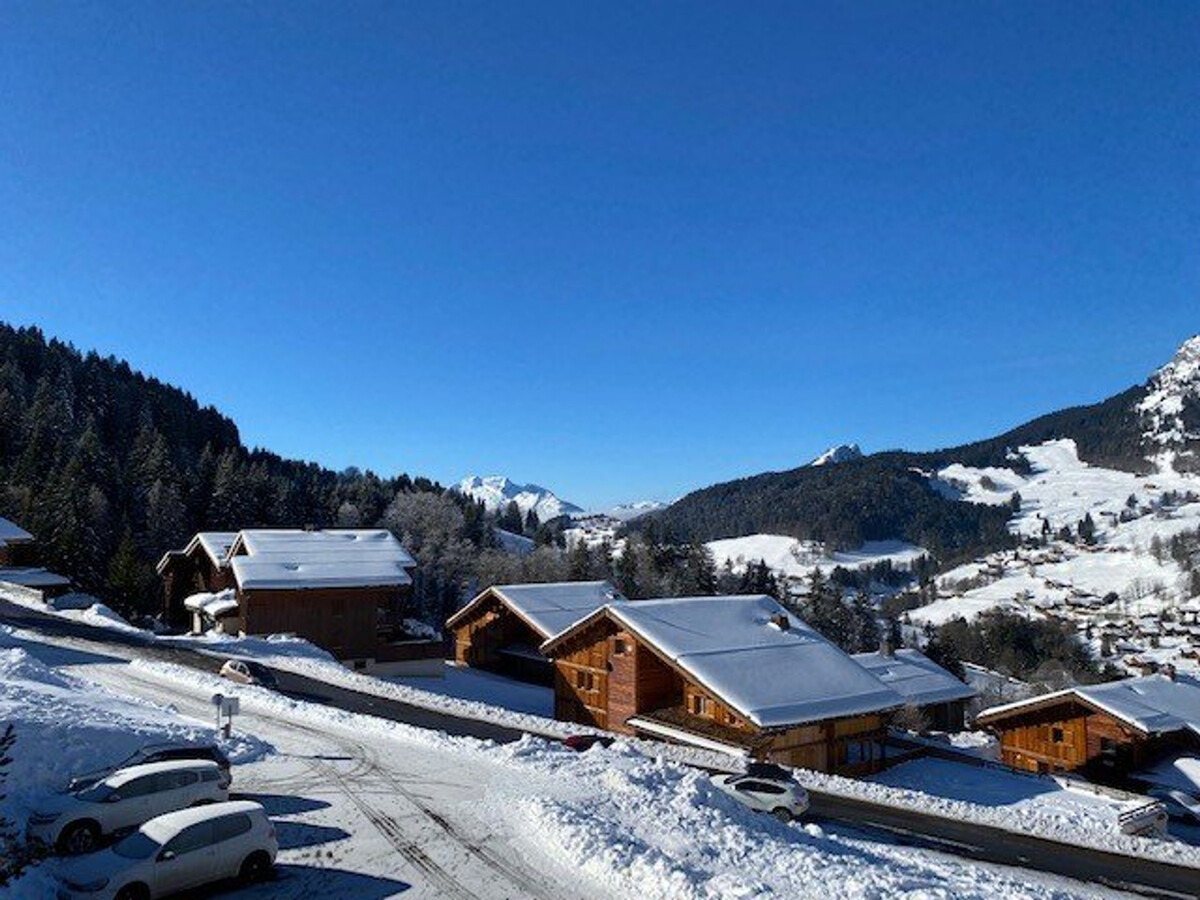 T3 ski aux pieds au Grand-Bornand, 6 pers, garage - Photo 17
