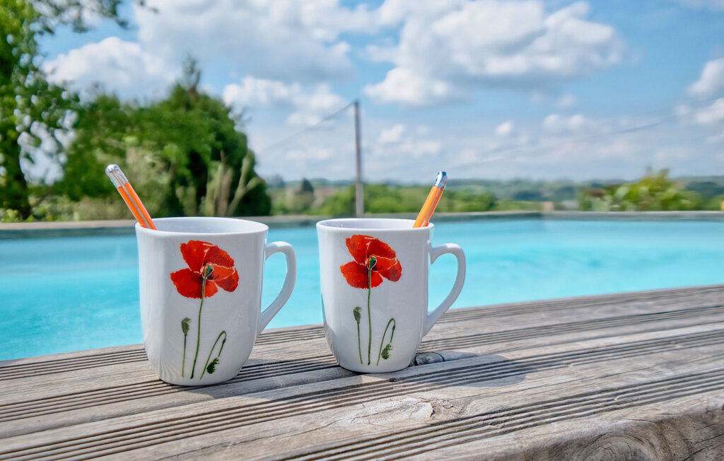 Maison pierre piscine privée à Payzac - Photo 11