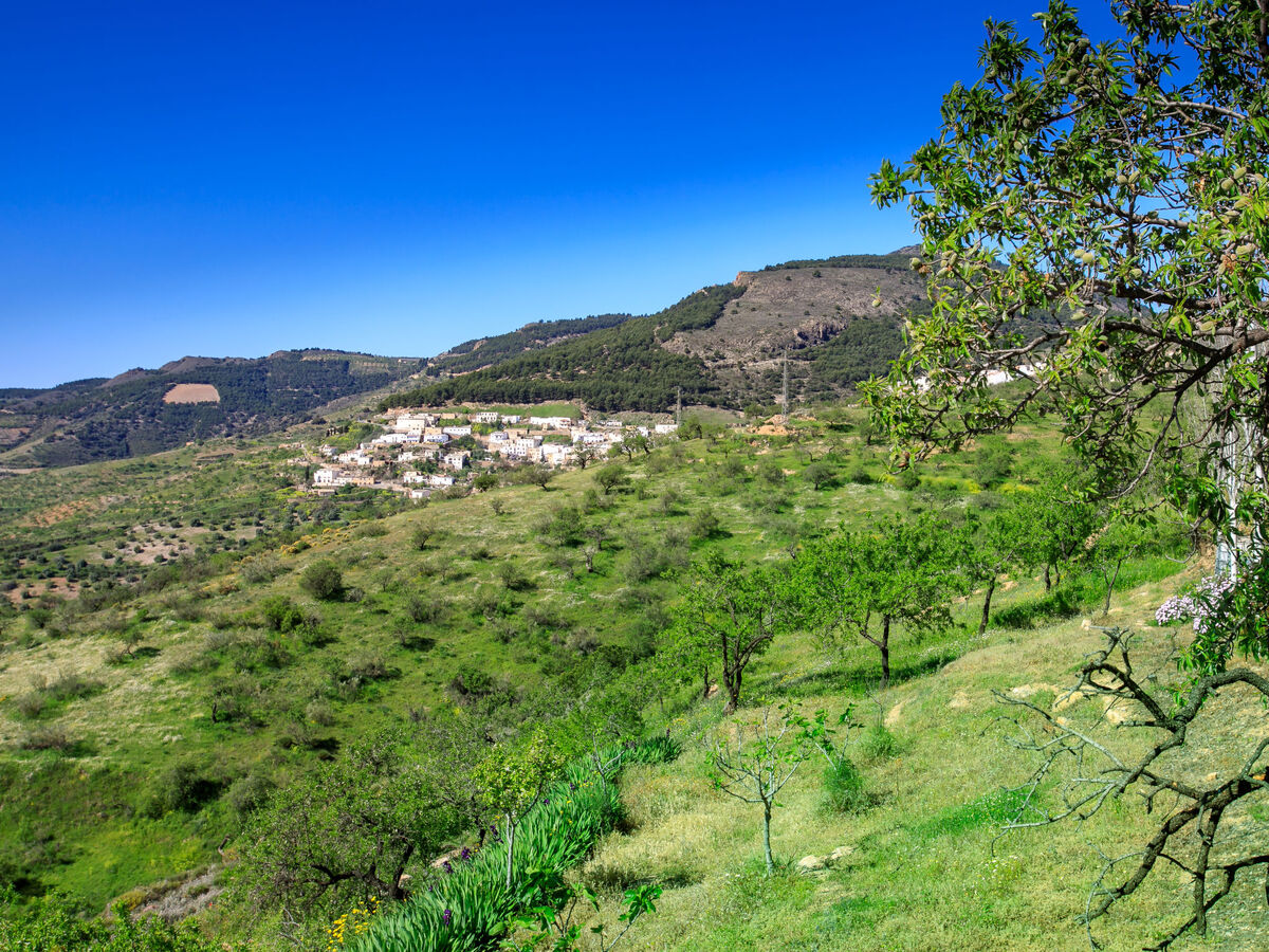 Maison Isabel – vue montagne et piscine privée à Murtas - Photo 40