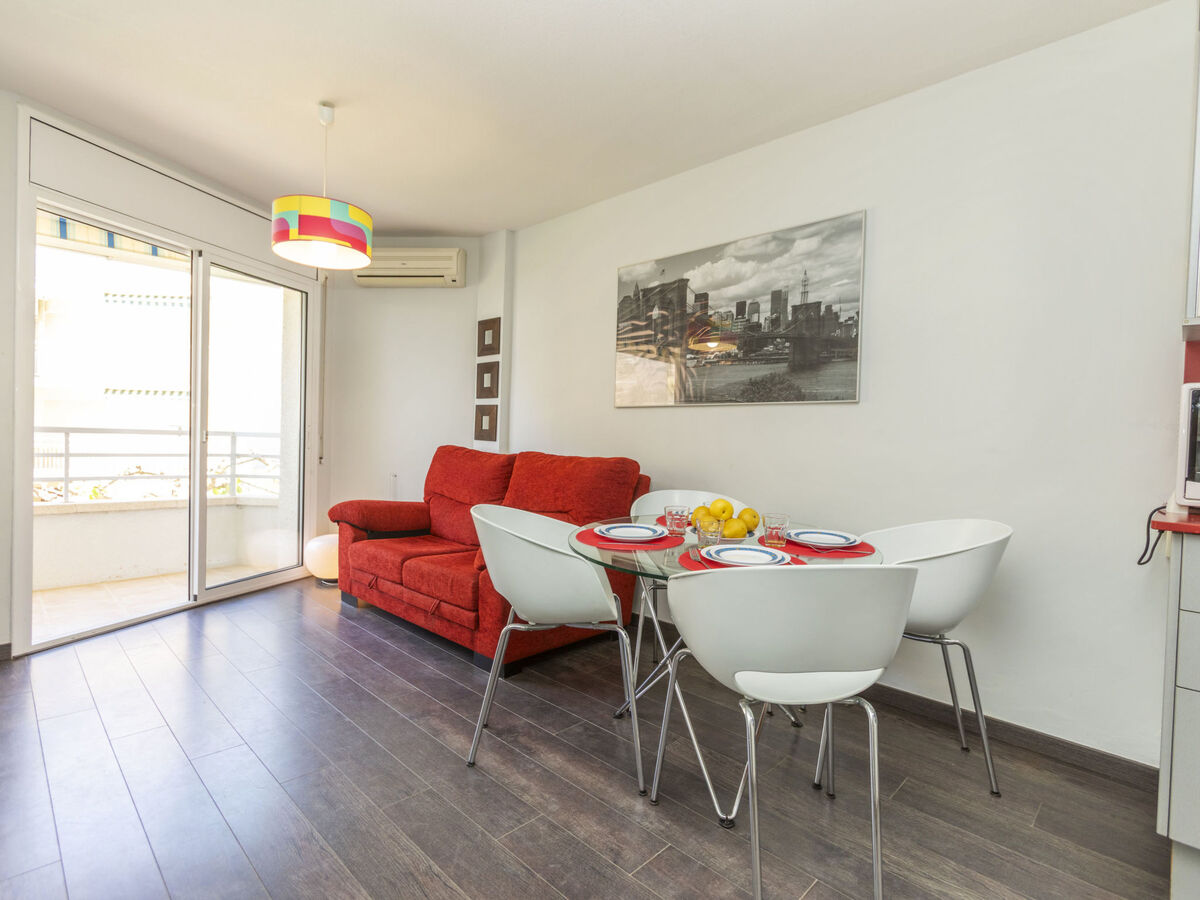 Tucan, appartement 40 m² à 5 m de la plage - Photo 6