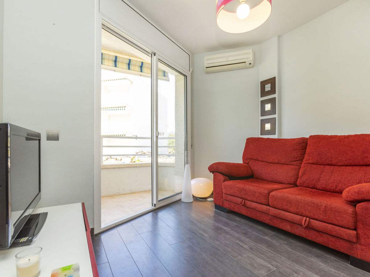 Tucan, appartement 40 m² à 5 m de la plage - Photo 10