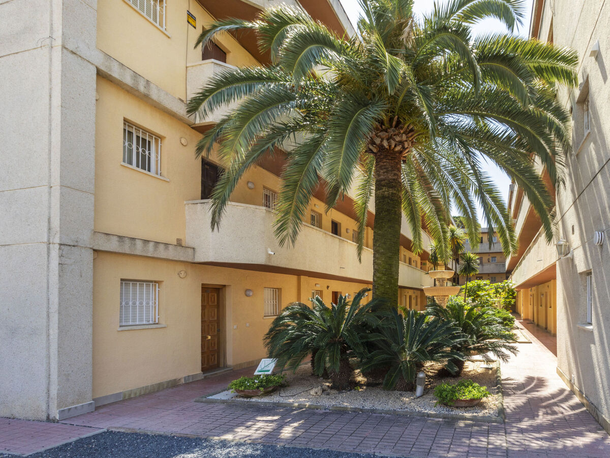 Tucan, appartement 40 m² à 5 m de la plage - Photo 20