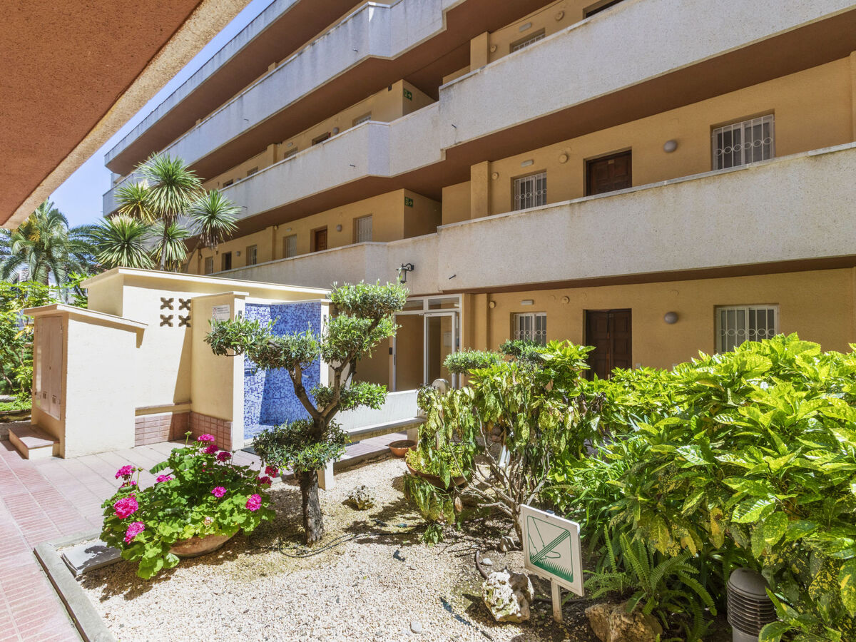 Tucan, appartement 40 m² à 5 m de la plage - Photo 21