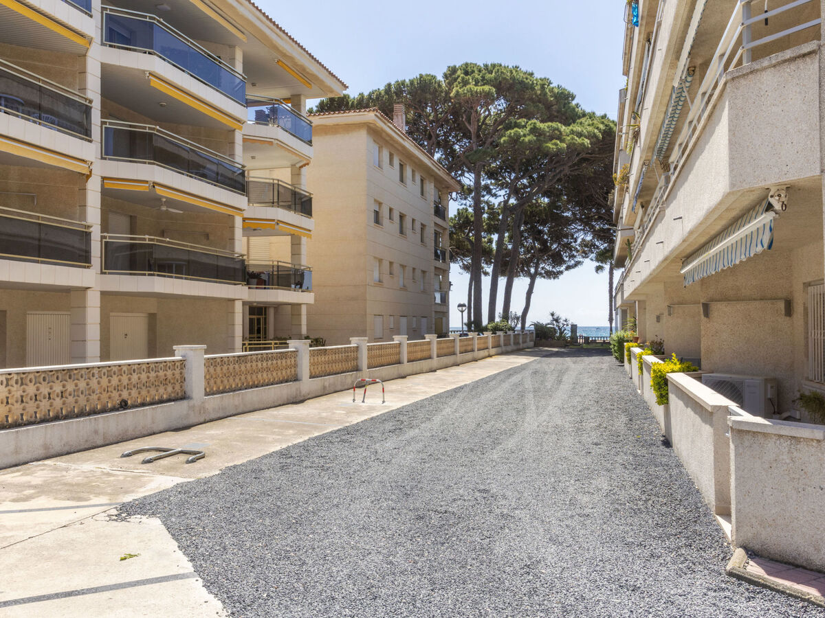 Tucan, appartement 40 m² à 5 m de la plage - Photo 22