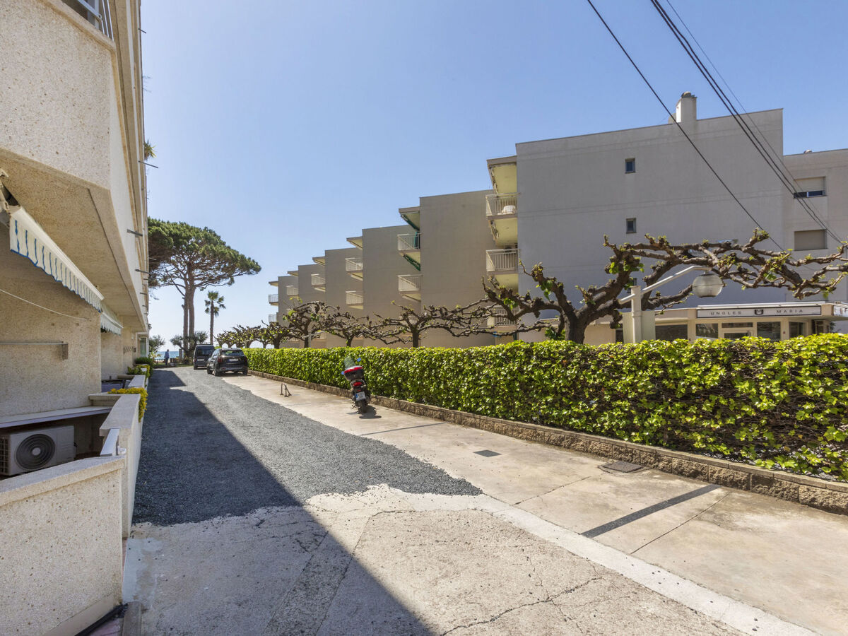Tucan, appartement 40 m² à 5 m de la plage - Photo 23