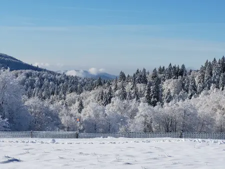 Gîte neuf avec terrasse au Thillot, Hautes-Vosges : photo 25