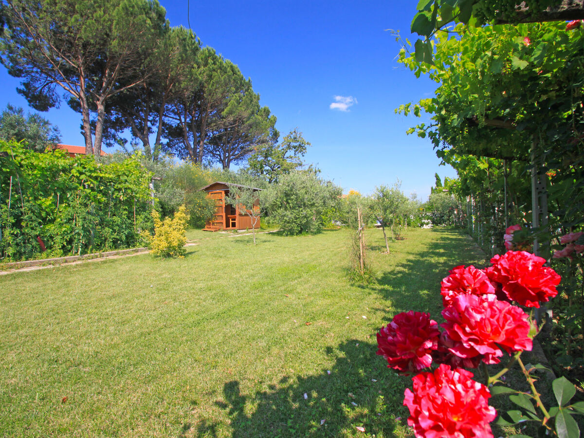 Villa La Rosa - 9 pers, piscine & jardin à Montelupo - Photo 39