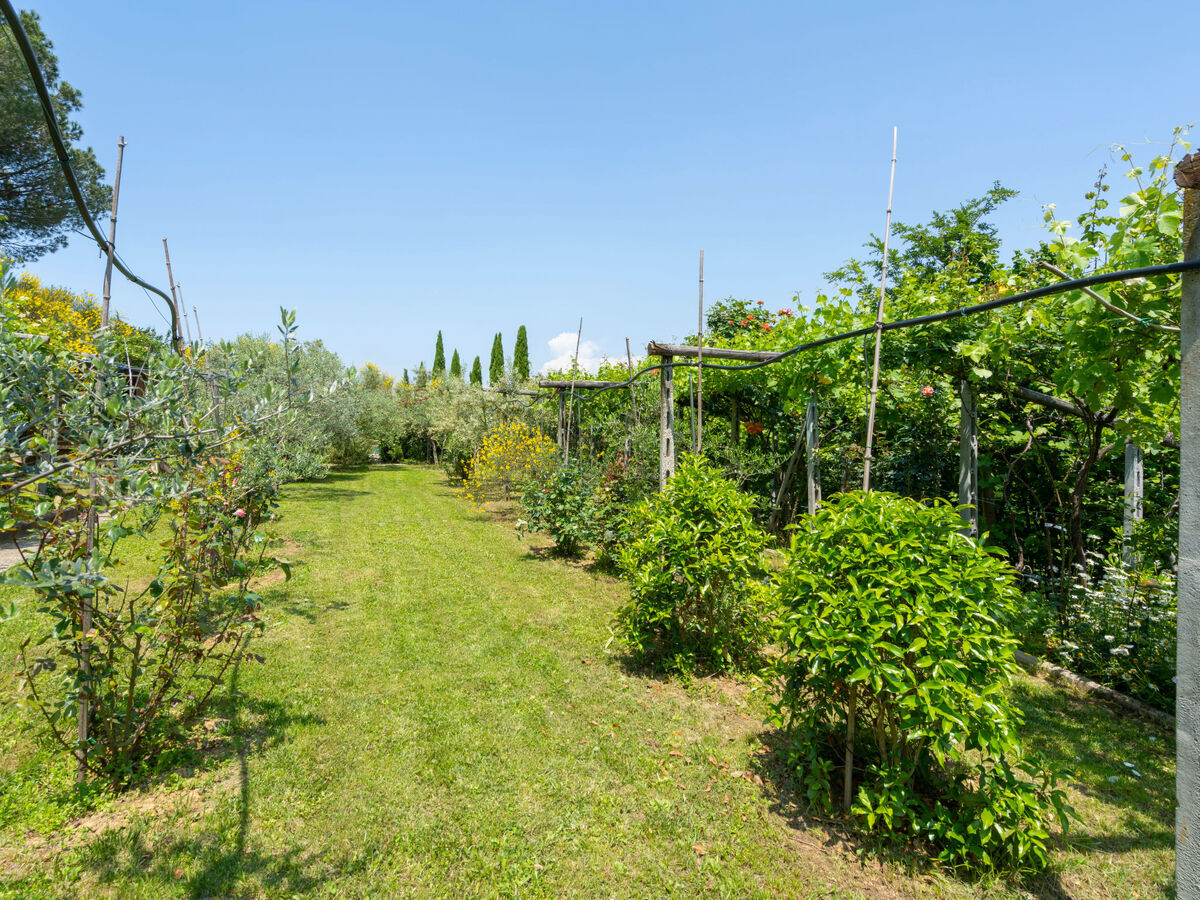 Villa La Rosa - 9 pers, piscine & jardin à Montelupo - Photo 47