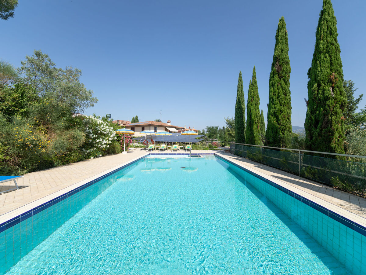 Villa La Rosa - 9 pers, piscine & jardin à Montelupo - Photo 52