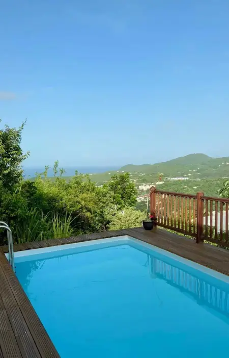 Studio avec piscine partagée et terrasse à Rivière-Pilote : photo 3