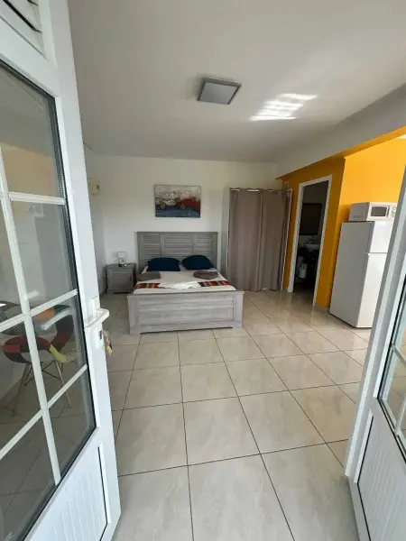 Studio avec piscine partagée et terrasse à Rivière-Pilote : photo 14