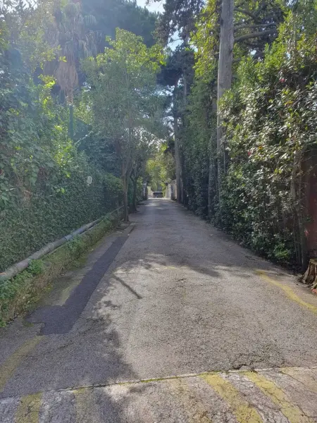 Appartement vue mer et balcon à Cannes, à 300 m de la plage : photo 12