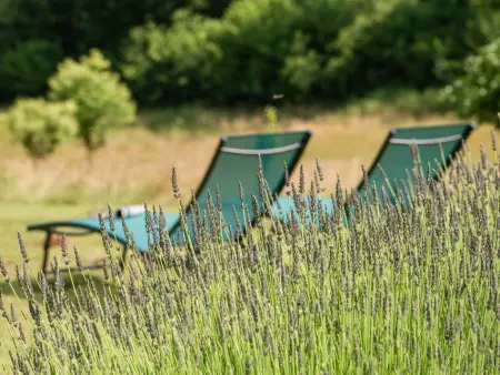 Maison des Yourtes – gîte avec jardin et vue sur Loubejac : photo 20