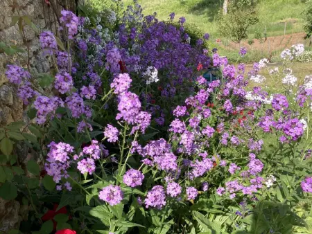 Maison des Yourtes – gîte avec jardin et vue sur Loubejac : photo 24