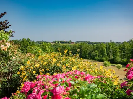 Maison des Yourtes – gîte avec jardin et vue sur Loubejac : photo 29