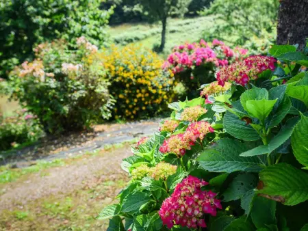 Maison des Yourtes – gîte avec jardin et vue sur Loubejac : photo 30