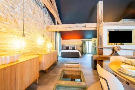 Le Castelain, maison avec sauna à Saint-Cécile : photo 9