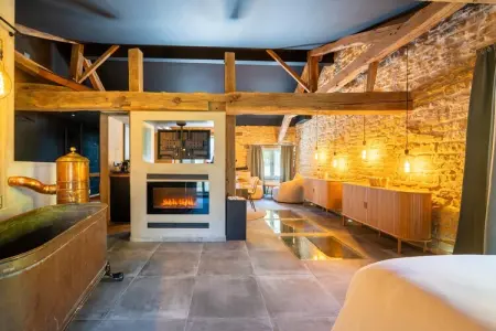 Le Castelain, maison avec sauna à Saint-Cécile : photo 11