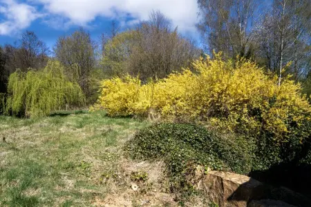 Le Castelain, maison avec sauna à Saint-Cécile : photo 25