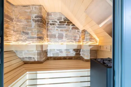Le Castelain, maison avec sauna à Saint-Cécile : photo 30