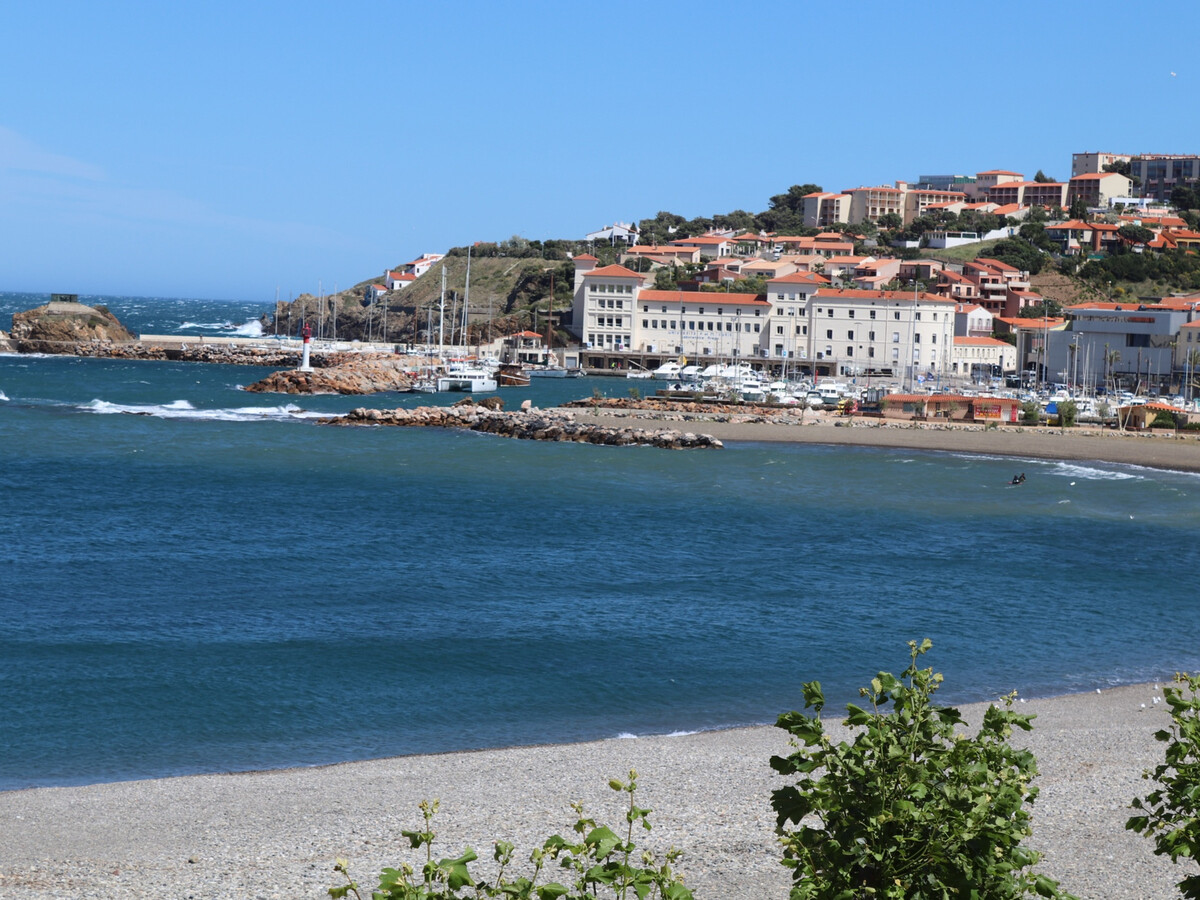 T3 front de mer à Banyuls-sur-Mer, terrasses et garage - Photo 1