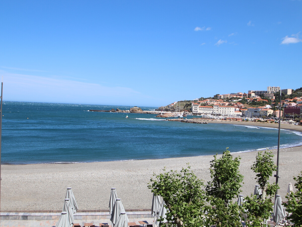 T3 front de mer à Banyuls-sur-Mer, terrasses et garage - Photo 5