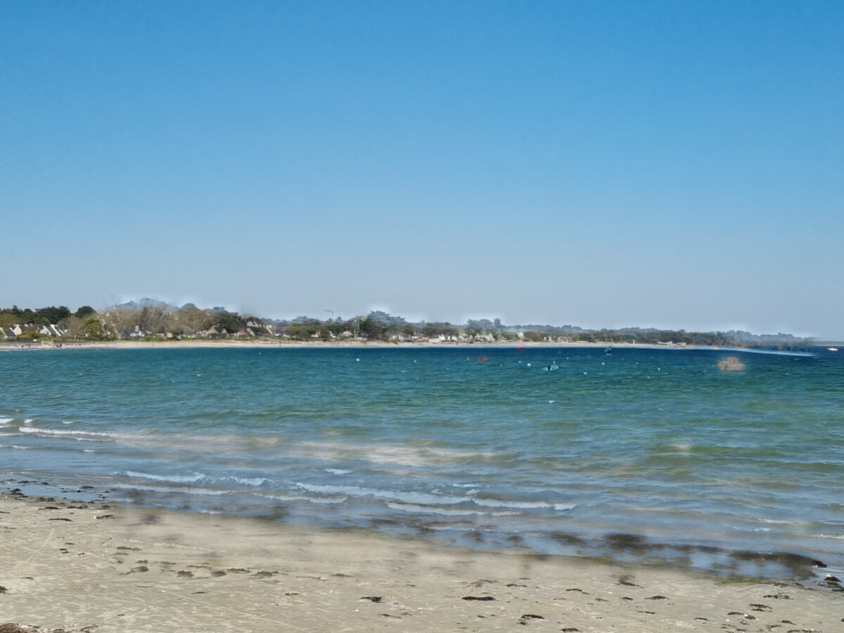 T3 Sarzeau : balcon vue mer, animaux bienvenus - Photo 25