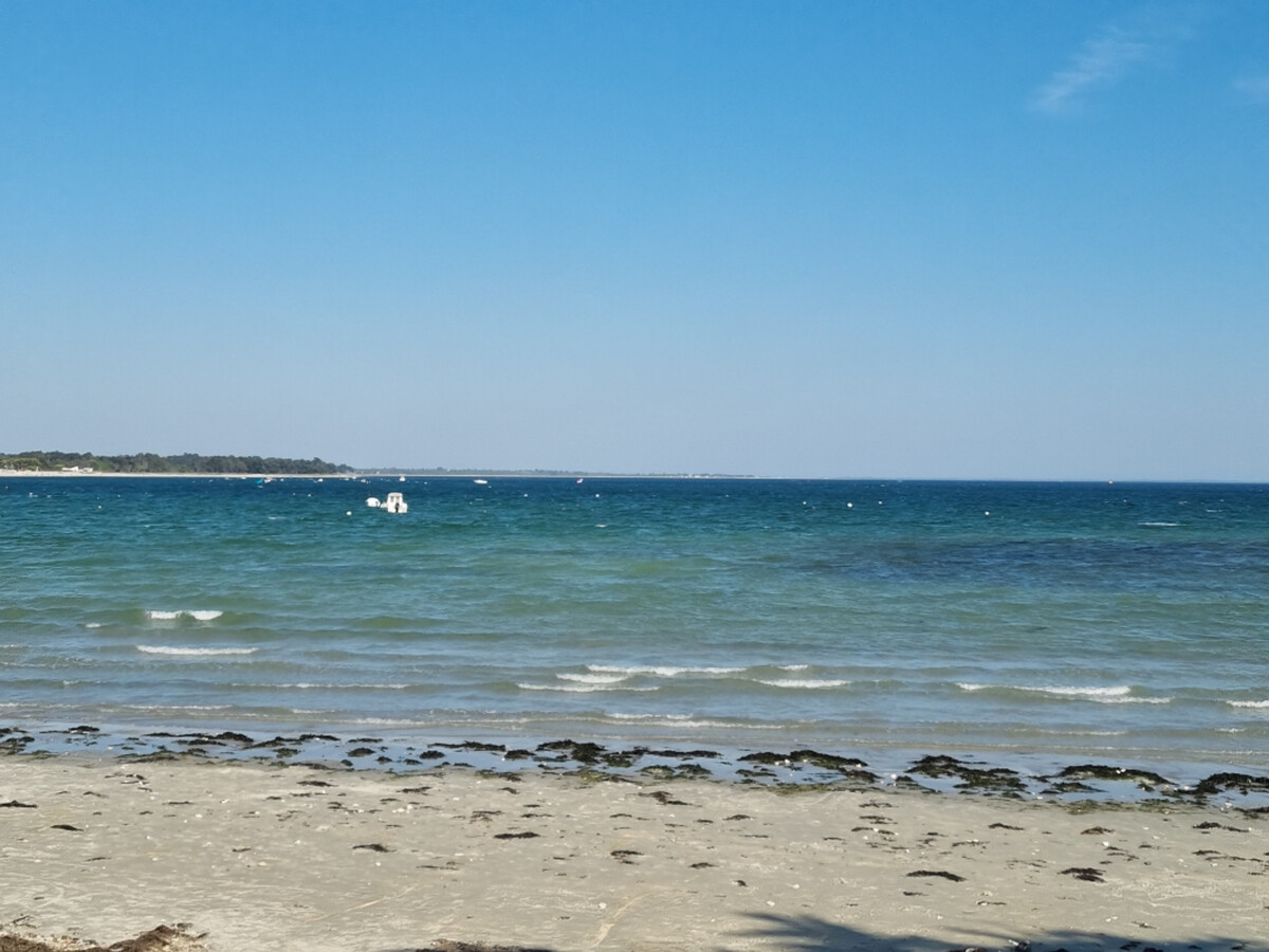 T3 Sarzeau : balcon vue mer, animaux bienvenus - Photo 29
