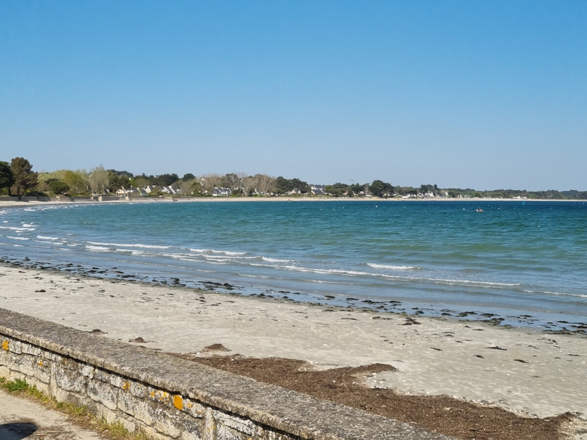 T3 Sarzeau : balcon vue mer, animaux bienvenus - Photo 30
