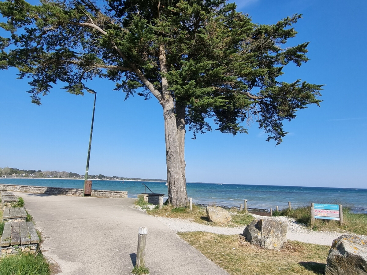 T3 Sarzeau : balcon vue mer, animaux bienvenus - Photo 33