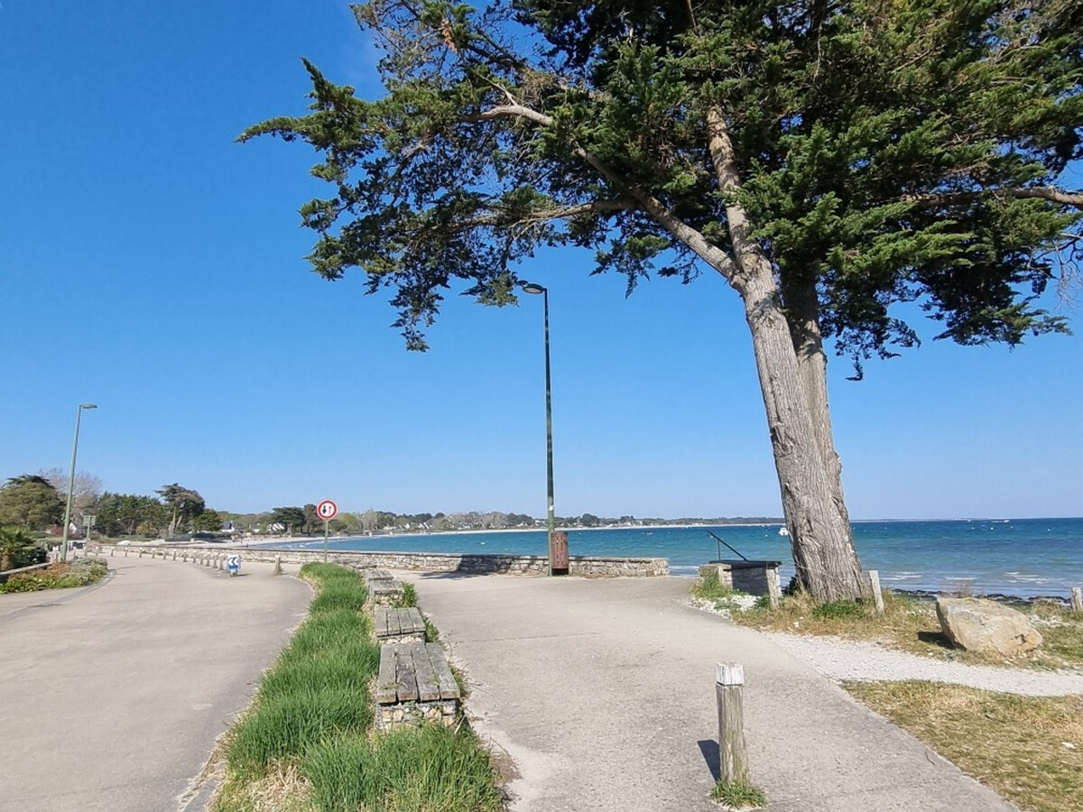 T3 Sarzeau : balcon vue mer, animaux bienvenus - Photo 34