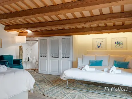 Can Font de Muntanya - Villa 13 pers. piscine privée : photo 26