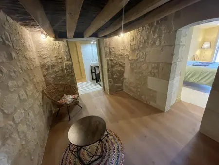 Gîte 15 personnes avec spa intérieur chauffé à Avoine - Photo 19