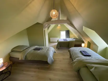 Gîte 15 personnes avec spa intérieur chauffé à Avoine - Photo 35