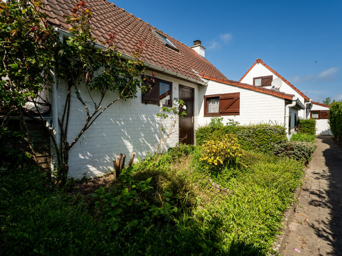 Duinenhuis 123 – Maison 6 pers. avec parking à Bredene - Photo 6