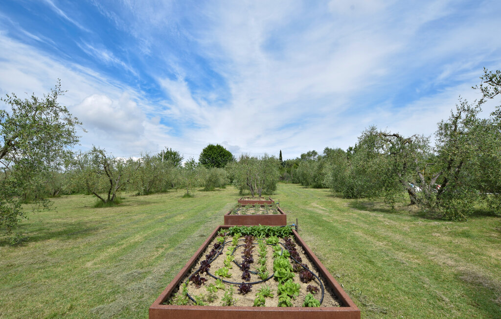 Maison 24 personnes à Marciano della Chiana - Photo 9