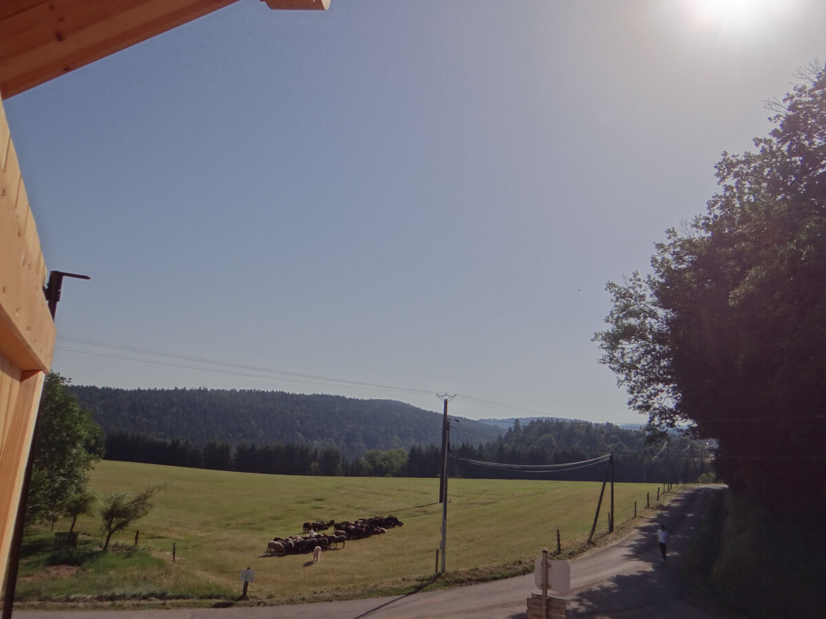 Chalet des 4 Vents : 6 pers, Vosges, randos & ski - Photo 2