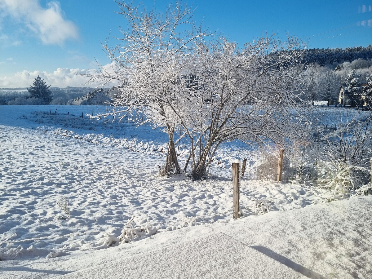 Chalet des 4 Vents : 6 pers, Vosges, randos & ski - Photo 19