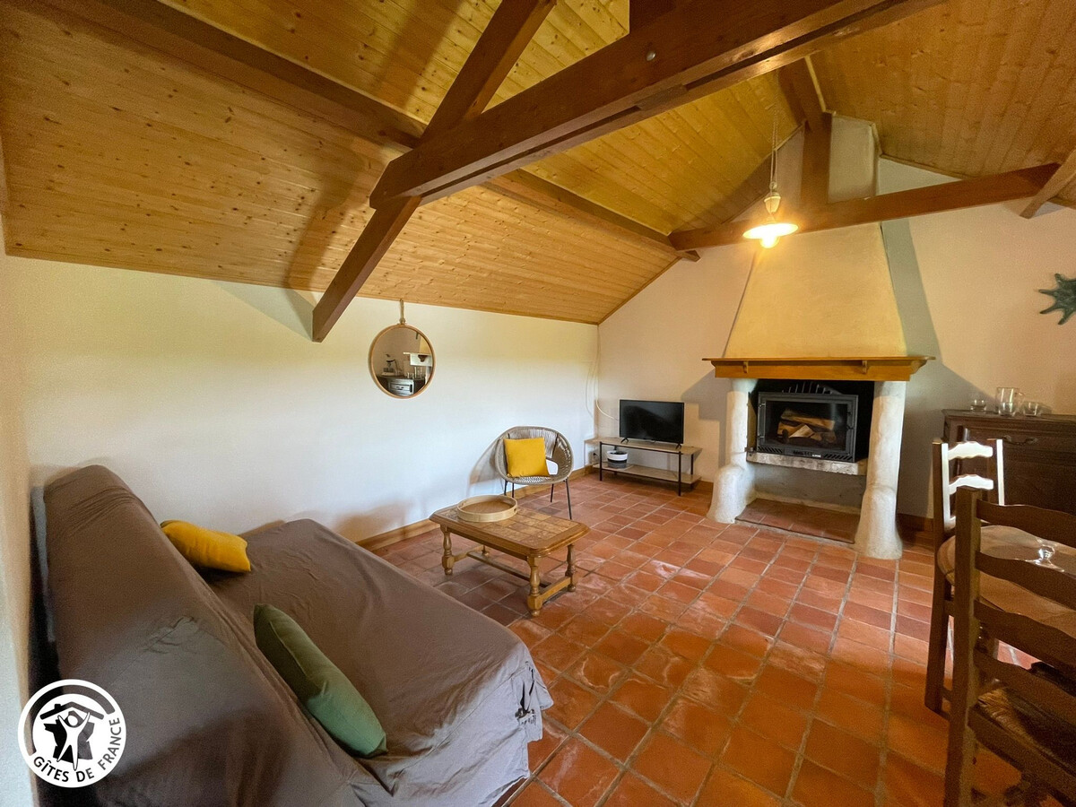 Deux bourrines traditionnelles au Marais breton - Photo 14