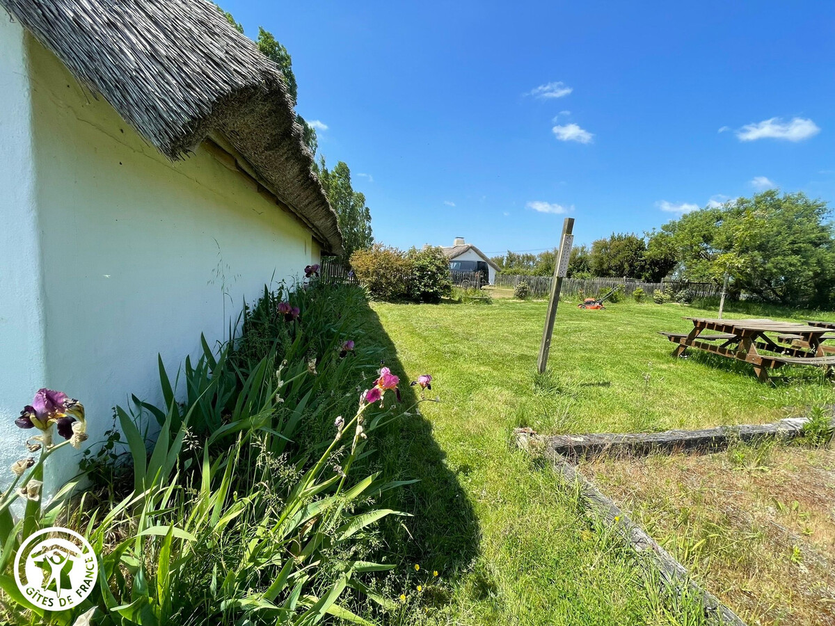 Deux bourrines traditionnelles au Marais breton - Photo 23