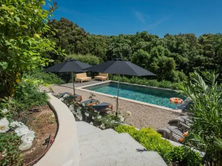 La Neptune, villa 4 chambres avec piscine à La Croix-Valmer : photo 3