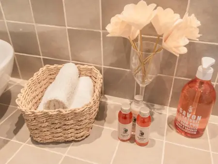 La Neptune, villa 4 chambres avec piscine à La Croix-Valmer : photo 31